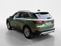 Ford Kuga 2.5 PHEV Titanium | Trekhaak | Keyless Entry | Stoel/Stuur/Voorruitverwarming | Apple Carplay/Android Auto | Adaptieve Cruise Control | Lichtmetalen Velgen |