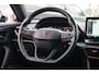 CUPRA Formentor 1.4 e-Hybrid 204 PK Performance PHEV, Panoramadak, Adap. Cruise Control, Carplay