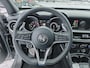 Alfa Romeo Stelvio 2.0 T AWD B-Tech SQUADRA GETUNED/Panodak