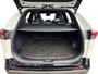 Toyota RAV4 2.5 Hybrid Bi-Tone | Schuif/Kantel | Innovation Pack | Zeer compleet! |