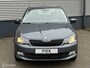 Skoda Fabia Combi 1.2 TSI First Edition Style 110PK CARPLAY