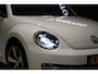 Volkswagen Beetle Cabriolet 1.2 TSI Club + CAMERA / XENON / APPLE CARPLAY