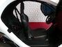 Renault Twizy URBAN 80 INCL ACCU. 4122 KM PDC RUITVERW. SWICHBLADE