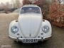 Volkswagen Kever 117M087 1300 61000KM!!! Nooit gelast