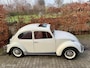 Volkswagen Kever 117M087 1300 61000KM!!! Nooit gelast