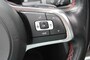 Volkswagen Polo 2.0 TSI GTI DSG  Pano dak  Virtual Cockpit