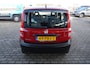 Fiat Panda 1.2 Actual , 68dkm Nap , Incl nw apk/beurt & 3 mnd garantie