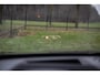 BMW X1 xDrive25e , Panoramadak, Head-up display, 360-camera,