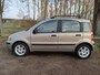 Fiat Panda 1.2 Emotion AUTOMAAT | CLIMA | ELEC. RAMEN | LAGE KMSTAND |