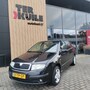 Skoda Fabia 1.4-16V 5DRS NW-Driem/APK rijklaar!