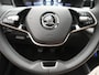 Skoda Fabia 1.0 TSI Business Edition / Cruise / LED / PDC / Carplay