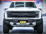 Ford F-150 Raptor USA Custom | 3.5 V6 Ecoboost SuperCrew