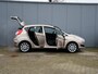 Ford Fiesta Titanium 1.0 EcoBoost 100pk NAVI | CRUISE | PDC ACHTER | CLIMA | QUICK CLEAR | USB