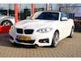 BMW 2-Serie Cabrio 220i M Sport Aut. Leder|Xenon|HarmanKardon|Cam|LMV