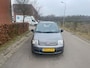 Fiat Panda 1.2 Edizione Cool [Leuke Panda]
