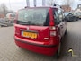 Fiat Panda 1.2 Edizione Cool