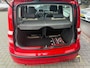 Fiat Panda 1.2 Edizione Cool