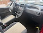Fiat Panda 1.2 Edizione Cool