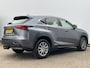 Lexus NX 300h AWD Navi Camera Leer Trekhaak Hoge zit Business Line 4x4