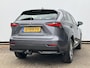 Lexus NX 300h AWD Navi Camera Leer Trekhaak Hoge zit Business Line 4x4