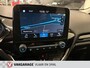 Ford Fiesta 1.0 EcoBoost Titanium- Bose uitvoering-Carplay-cruise controle-parkeerhulp