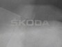 Skoda Karoq 1.5 TSI ACT DSG Sportline Business | Panoramadak | Navigatie | Stoel/Stuurverw. | Full-LED 266