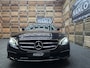 Mercedes-Benz E-klasse Estate 300 de Business Solution PHEV LED Navi Camera Sfeer Clima Cruise LM