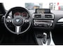 BMW 1-Serie 120i CENTENNIAL HIGH EXECUTIVE APPLE CARPLAY|PANORAMADAK|DEALERONDERHOUDEN
