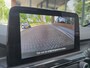 Ford Kuga 2.5 PHEV ST-Line X / PANO / VERW STOELEN V+A /