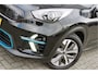 Kia Niro EV e-Niro DynamicLine 64kWh SOH 96% Trekhaak