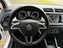 Skoda Fabia 1.0 Edition/Carplay/Navi/Cruise/PDC/Nieuwe beurt!