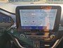Ford Puma 1.0i Ecoboost Hybrid 125pk ST-Line Winterpack