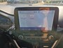 Ford Puma 1.0i Ecoboost Hybrid 125pk ST-Line Winterpack