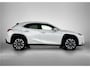 Lexus UX 250h Business Line Lexus-paasweekend