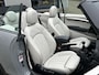 MINI Cooper Mini Cabrio 1.5 Pepper Serious Business | Leder/Stoelverw./Cruise Control/Parkeerhulp/17-inch