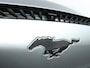 Ford Mustang Mach-E RWD 75 kWh |NAP |1e eigenaar |Pano|B&O|BTW |Bomvol