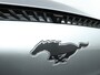 Ford Mustang Mach-E RWD 75 kWh |NAP |1e eigenaar |Pano|B&O|BTW |Bomvol