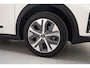 Kia Niro EV e-Niro DynamicLine 64kWh 3 fase [ Navi Stoelverwarming Half leder ]