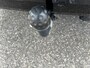 Volkswagen Caddy 2.0TDI 122pk DSG Exclusive | Trekhaak | NL Bus | ACC | Camera