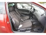 SEAT Ibiza 1.4 TSI Bocanegra FR / DSG STORING!!!