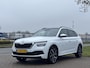 Skoda Kamiq 1.0 TSI Sport Business cruise pano pdc apple carplay