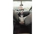 Renault Scenic 2.0 Dynamique AUT | NAVI | CLIMA | TREKHAAK | CRUISE CONTROLV | LPGG3