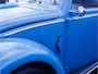 Volkswagen Kever Brilkever | 1951 | Concoursstaat | Zeldzaam vroeg exemplaar | Gulf Blue, Split window, Semaforen, een unieke tijdcapsule