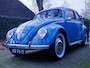 Volkswagen Kever Brilkever | 1951 | Concoursstaat | Zeldzaam vroeg exemplaar | Gulf Blue, Split window, Semaforen, een unieke tijdcapsule