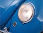 Volkswagen Kever Brilkever | 1951 | Concoursstaat | Zeldzaam vroeg exemplaar | Gulf Blue, Split window, Semaforen, een unieke tijdcapsule