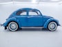 Volkswagen Kever Brilkever | 1951 | Concoursstaat | Zeldzaam vroeg exemplaar | Gulf Blue, Split window, Semaforen, een unieke tijdcapsule