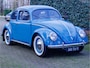 Volkswagen Kever Brilkever | 1951 | Concoursstaat | Zeldzaam vroeg exemplaar | Gulf Blue, Split window, Semaforen, een unieke tijdcapsule