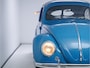 Volkswagen Kever Brilkever | 1951 | Concoursstaat | Zeldzaam vroeg exemplaar | Gulf Blue, Split window, Semaforen, een unieke tijdcapsule