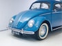 Volkswagen Kever Brilkever | 1951 | Concoursstaat | Zeldzaam vroeg exemplaar | Gulf Blue, Split window, Semaforen, een unieke tijdcapsule