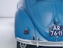 Volkswagen Kever Brilkever | 1951 | Concoursstaat | Zeldzaam vroeg exemplaar | Gulf Blue, Split window, Semaforen, een unieke tijdcapsule